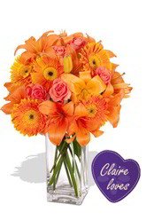 Claire Loves In Bloom
